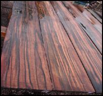 macassar ebony figured boards