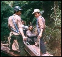 macassar ebony workers